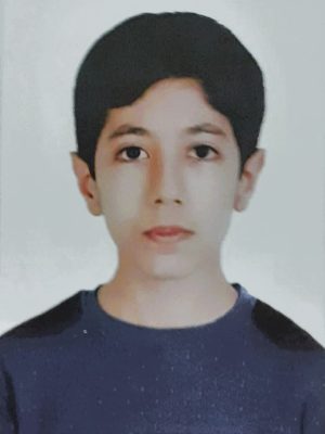 محمد مهدی آماده